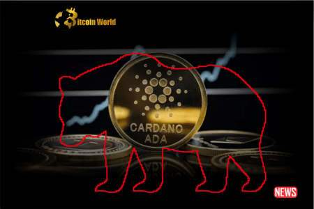 Cardano’s Resilience in Bear Markets Sets It Apart: Expert Analysis