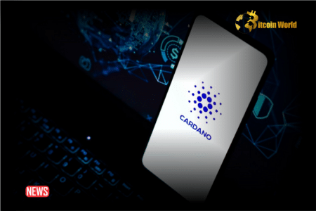 ADA Rise To A New Price Level, Should Cardano Investors Be Cautious?