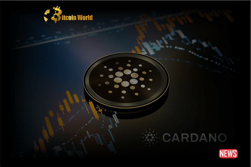Cardano Road to $1: New Protocols, Accelerating Decentralization, and Igniting Network Activity