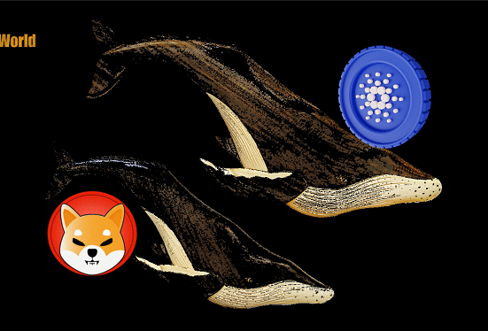 Cardano ($ADA) and Shiba Inu ($SHIB) Whale Transactions Surge in Move ‘Associated With Price Shifts’