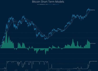 Bitcoin Investors Urged to Exercise Caution Amid Peaking Risks