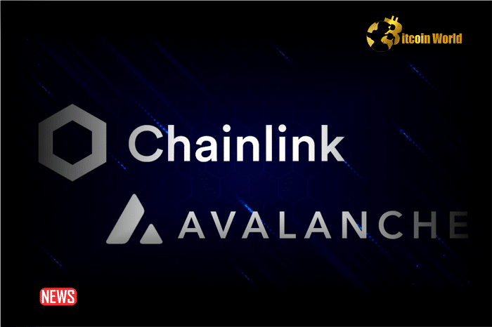 AVAX Soars 9% As Avalanche And Chainlink Announce Partnership For Global Asset Circulation