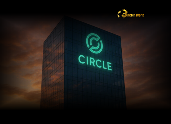 Circle Firmly Denies Sale Rumors: What It Means for USDC Stability
