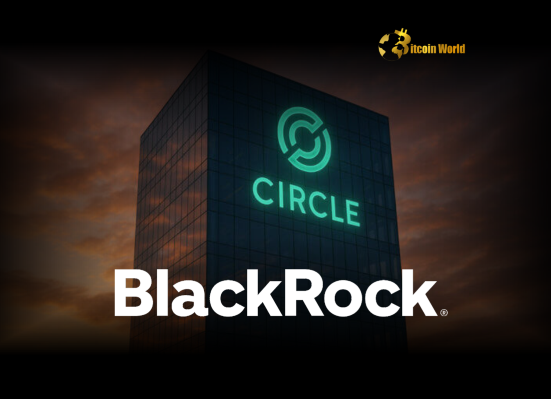 Circle IPO: BlackRock Makes Strategic Cryptocurrency Investment Move