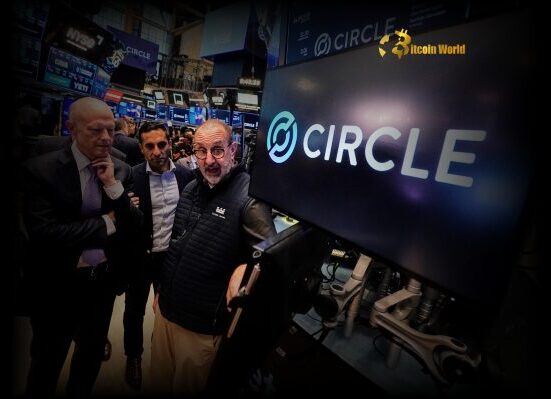 Circle Stock Soars 168% on Historic NYSE Listing A Milestone for USDC Issuer