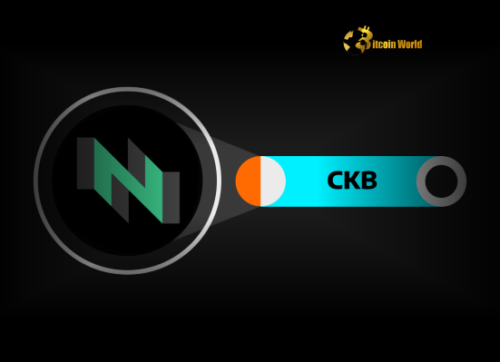 CKB Token: Urgent DAXA Warning Issued by South Korea's Crypto Alliance