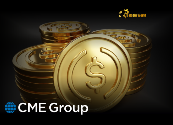 CME CEO Questions Cryptocurrency Use Case, Champions Stablecoin Potential