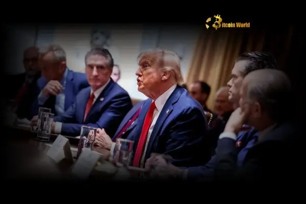 Confident: White House Economic Council Expects More US Trade Deals Amidst Tariff Confidence