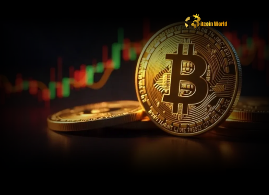 Crucial Bitcoin Correction Hits: What Macro Factors Mean for BTC Price