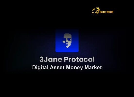 Crypto Credit: Paradigm Investment Unlocks New Era for 3Jane's Digital Asset Money Market