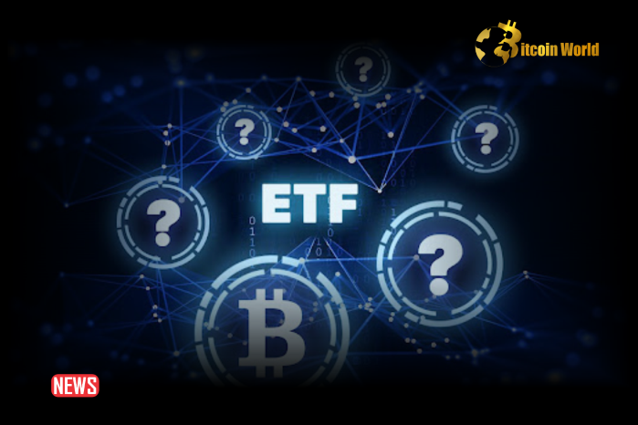 Why Investing In Crypto ETFs Could Be A Smart Move in 2024