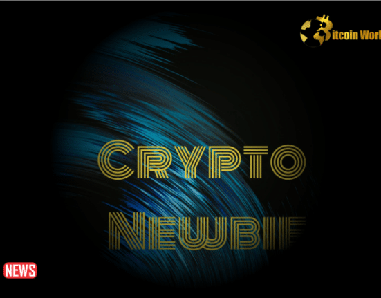 Top Tools For Crypto Newbies