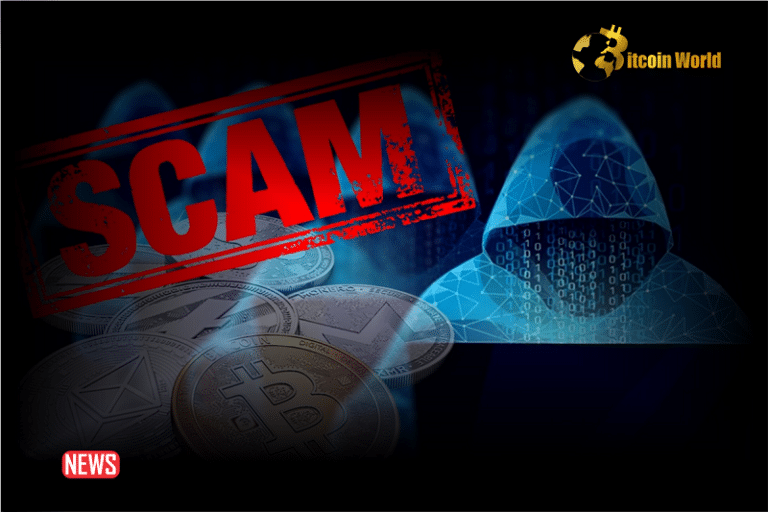 The Most Common Crypto Scams To Look Out For In 2024 - BitcoinWorld