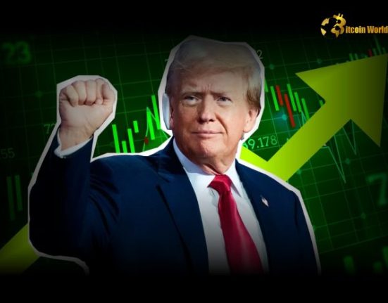 Crypto Stocks Surge as Trump Win Sparks Investor Optimism and New BTC Highs