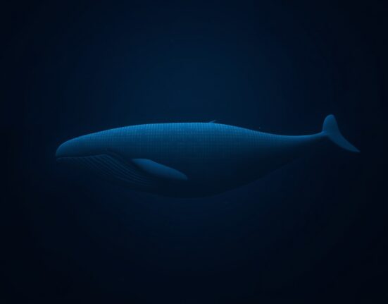 A digital whale with a blockchain grid overlay swimming in a dark ocean, representing a large cryptocurrency transaction.