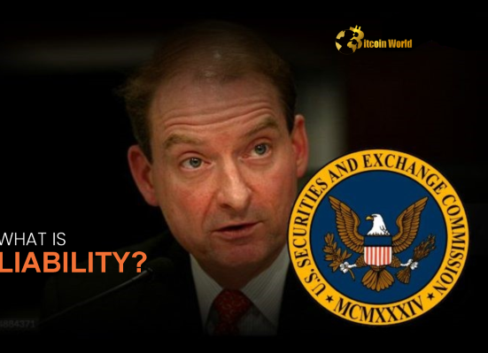 DeFi Developers SEC Chairman Atkins Offers Crucial Clarity on Liability