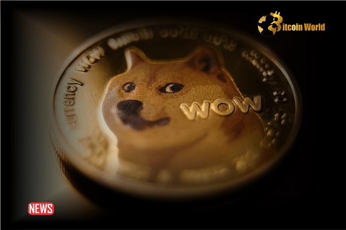 Dogecoin Surged 77%, Fueled by Bullish Market and Whale Accumulation