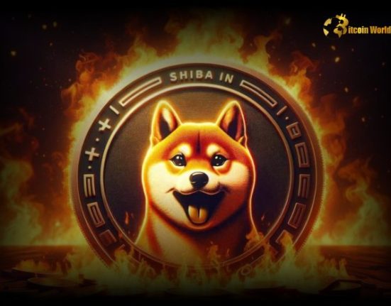 Shiba Inu (SHIB) Daily Burn Rate Surges by 3,676%, Signaling Ecosystem Growth