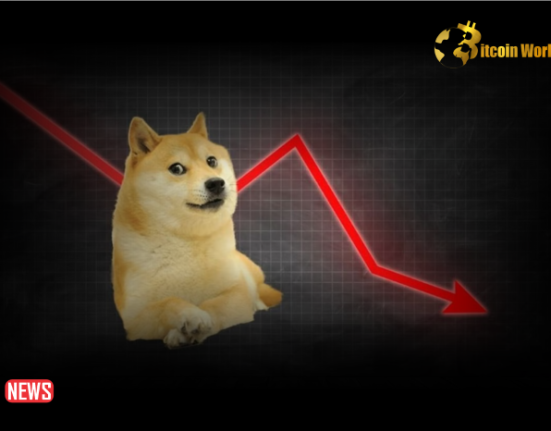 Dogecoin Falls More Than 7% In 24 Hours