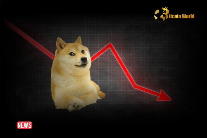 Dogecoin Falls More Than 7% In 24 Hours