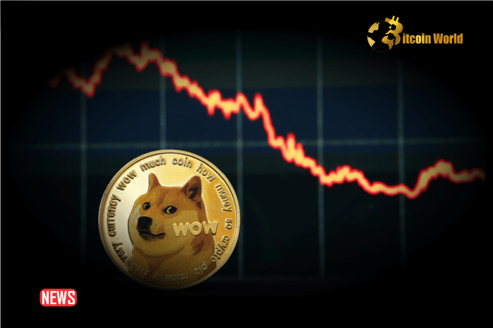 Dogecoin Loses 20% In 7 Days, But Can This Group Turn Things Around?