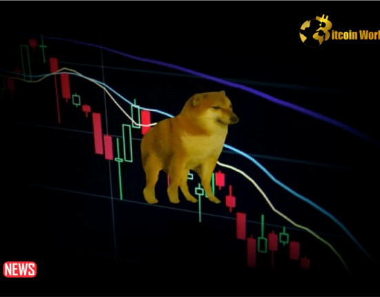 Dogecoin Decreases More Than 7% Within 24 hours