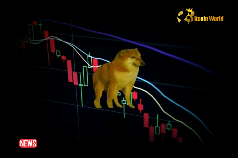 Dogecoin Decreases More Than 7% Within 24 hours