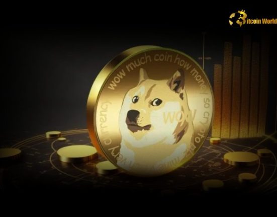 Dogecoin Hits 52-Week High at $0.3032 as Market Eyes $1 Target