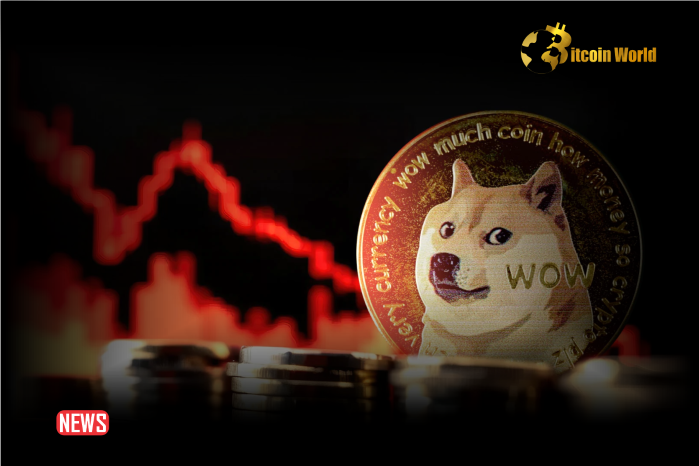 Dogecoin (DOGE) Price Decreases More Than 8% Within 24 Hours