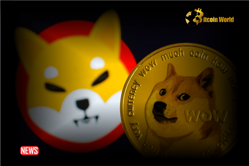 Dogecoin HODLERs Are Beating Shiba Inu With 57% Landing In Profits