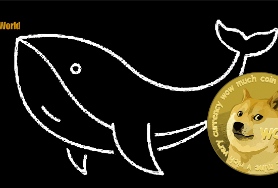 Dogecoin: A Renewed Whale Interest Could do This for DOGE in the Coming Days