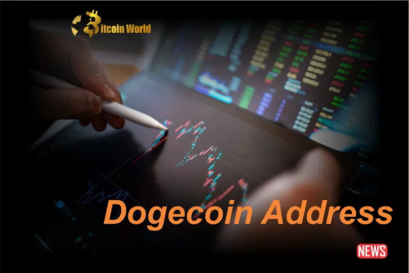 Wake Up, DOGE! Dormant Wallet Holding $123K Springs Back to Life After 9 Years