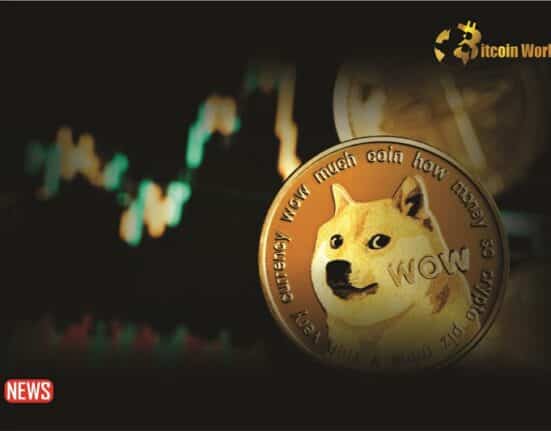 Dogecoin Decreased More Than 8% Within 24 hours