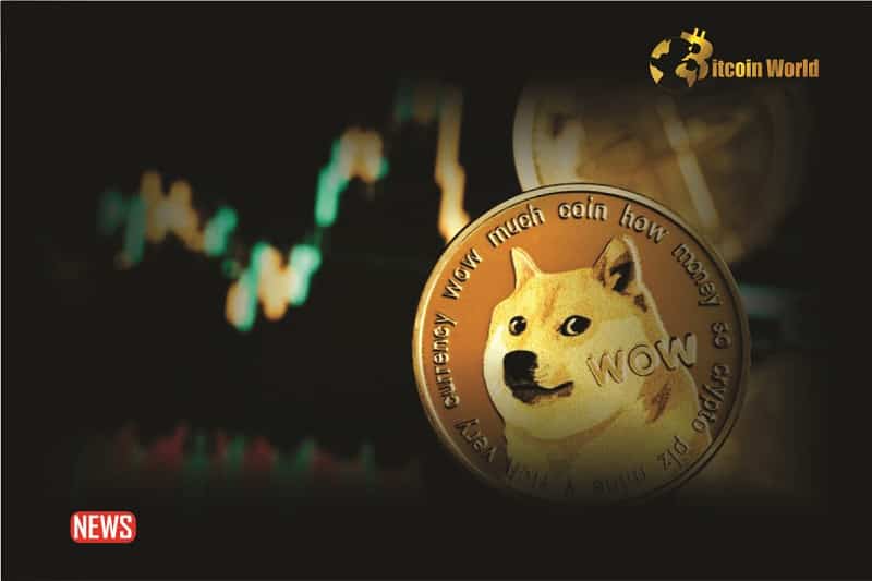 Dogecoin Decreased More Than 8% Within 24 hours