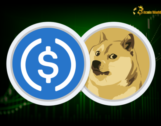 DOGE Surpasses USDC to Become Sixth-Largest Cryptocurrency with $42.26 Billion Market Cap