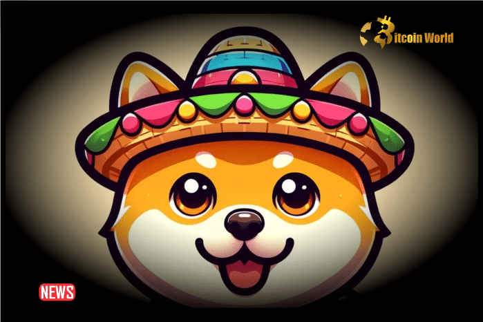 Doge With Hat (DOGEHAT) Will Rally 5,500%, As Shiba Inu And Bonk Lag