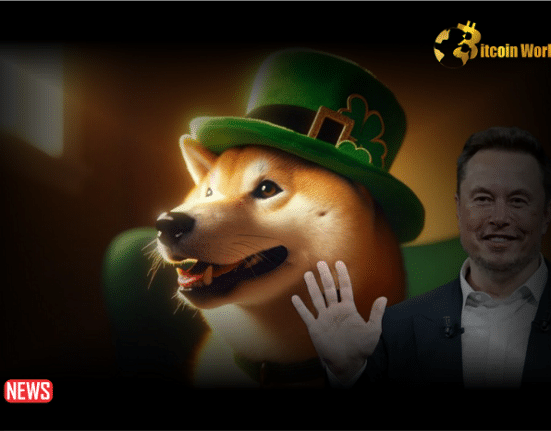 Elon Musk Posted A Photo Of His Dog Wearing A Hat On St. Patrick's Day And Now Dogwifhat Is Surging 32% — Leaving DOGE, SHIB In The Dust