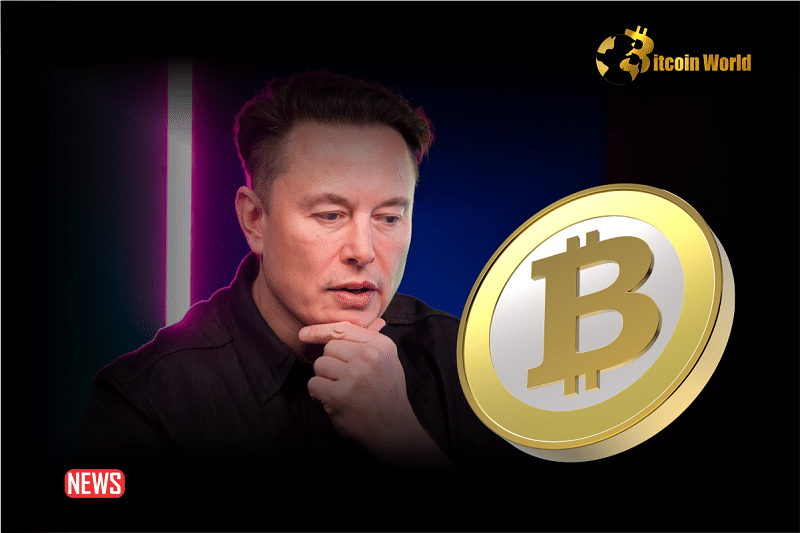Elon Musk Considers Using Bitcoin (BTC) On X