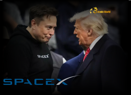 Elon Musk Confirms SpaceX Dragon Safe Amid Intense Trump Feud