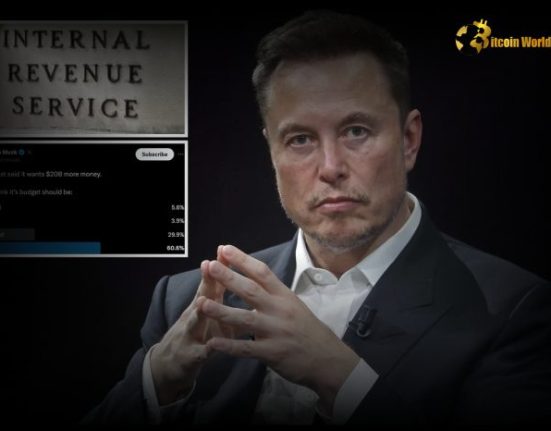 Elon Musk Declares: IRS to Be Audited by D.O.G.E.