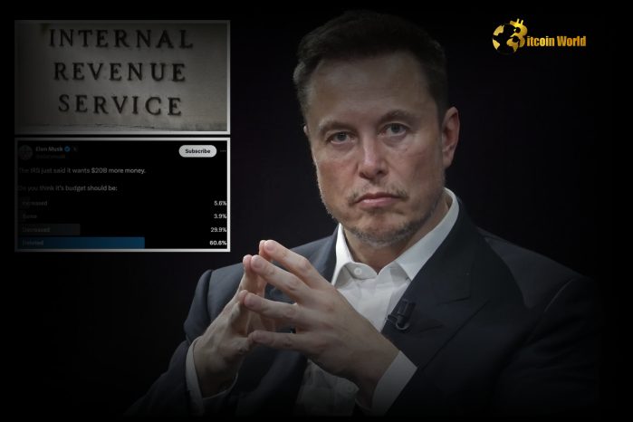 Elon Musk Declares: IRS to Be Audited by D.O.G.E.