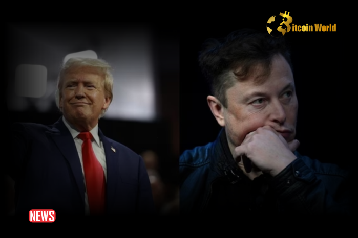 Elon Musk Denies $45 Million Donation To Pro-Trump Super PAC
