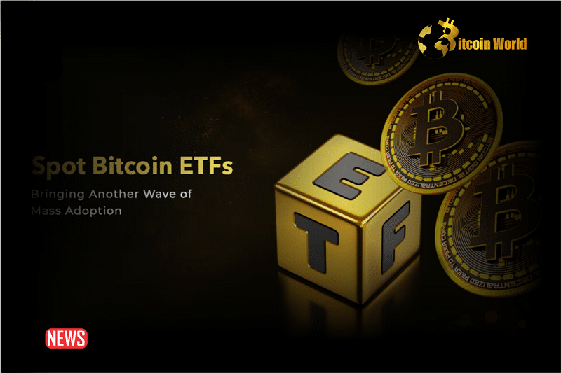 Will The Spot Bitcoin ETFs Be Denied? What’s Your Opinion?