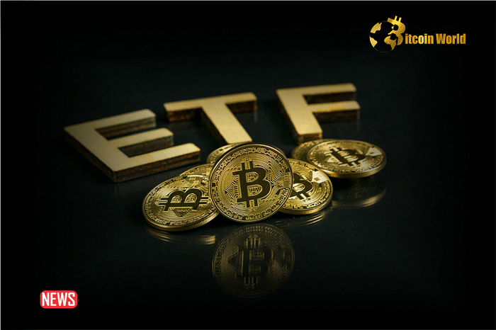 CryptoQuant CEO: Demand for Bitcoin ETF Could Increase as BTC Price Drops