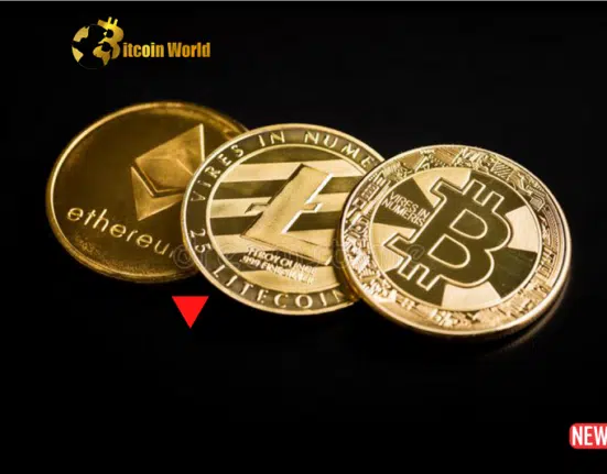 Bitcoin Under Pressure: Ordinals Fuel Congestion, Impacting Crypto Markets and Watching for US Inflation Data