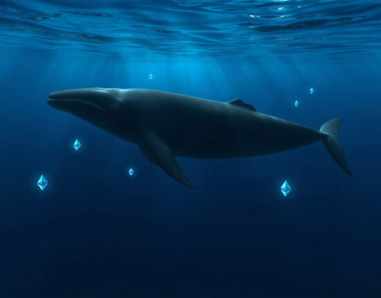 An anonymous whale accumulates Ethereum, symbolizing large-scale crypto trading activity.