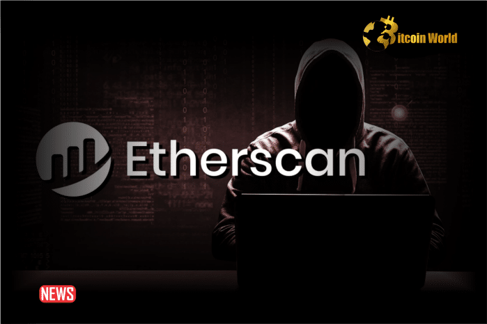 Crypto Scammers Target Etherscan Users with Massive Phishing Ads