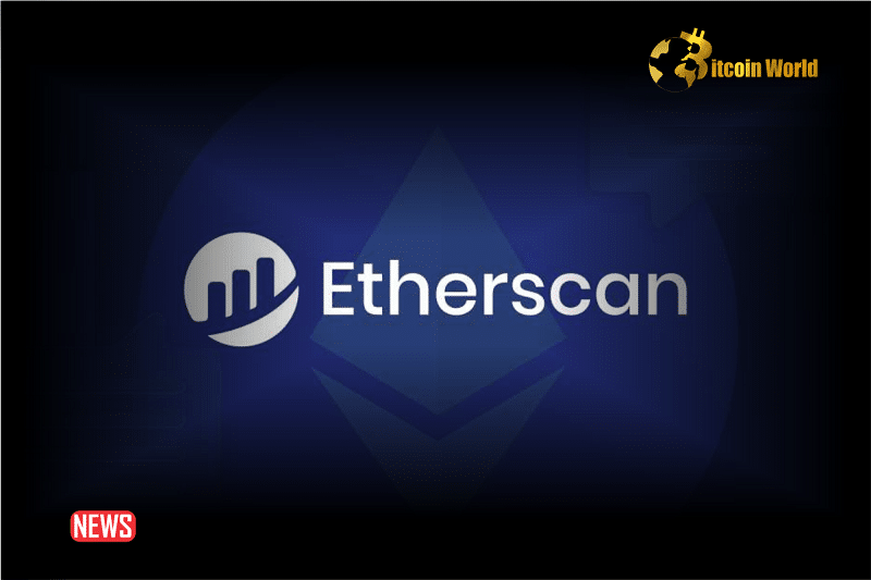 Etherscan Has Acquired Solana’s Solscan.io To Enhance Blockchain Data Accessibility