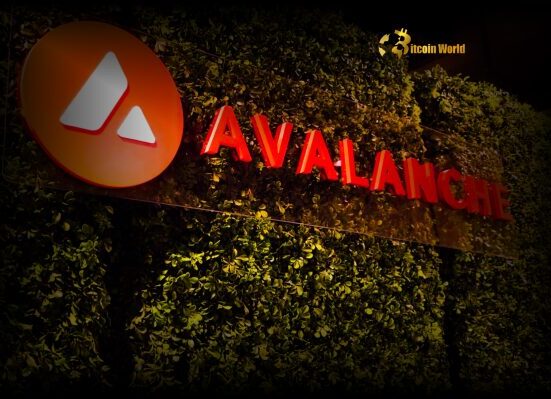 Exciting Move: Bergen County Puts Property Deeds on Avalanche Blockchain