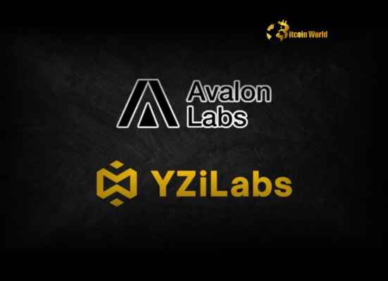 Exciting YZi Labs Investment Fuels Avalon Labs' Bitcoin DeFi Expansion